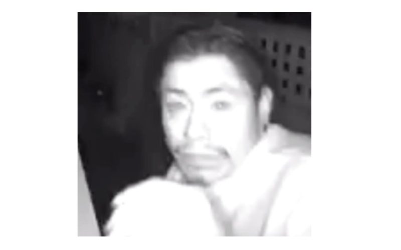 Law Enforcement Update: Prowler Arrest in Carmel-by-the-Sea