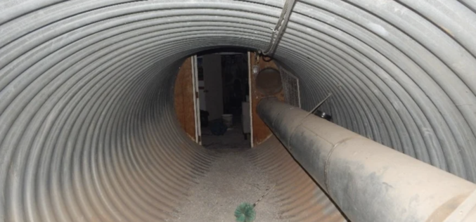 CHP Reportedly Dismantles Illegal Cannabis Cultivation Operation, Seizes Weapons from Underground Bunker