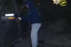 Two Suspects Arrested in North Auburn Vehicle Theft Incidents