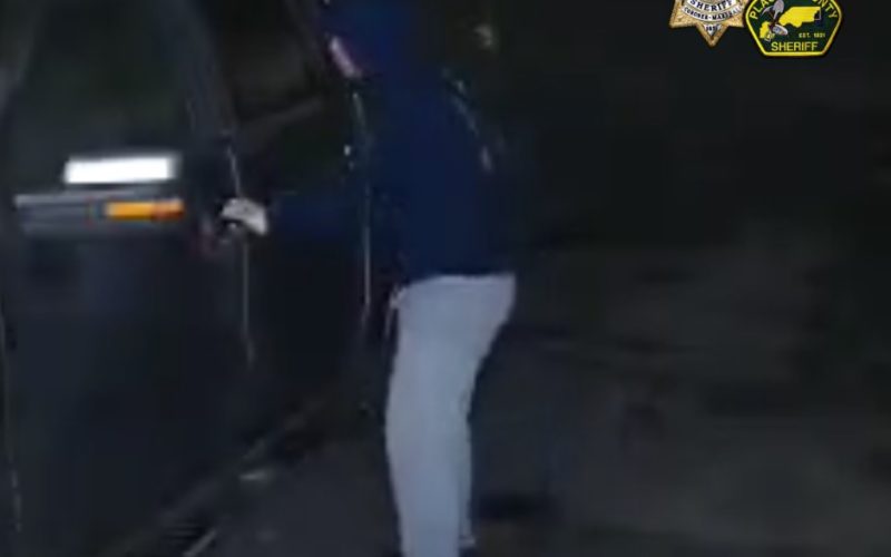 Two Suspects Arrested in North Auburn Vehicle Theft Incidents