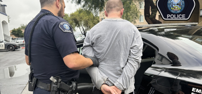The Run is Over: Stolen Vehicle Suspect Captured After Foot Pursuit