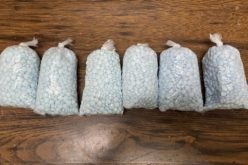 Tulare County Man Convicted in Fentanyl Transportation and Illegal Cannabis Cultivation Case