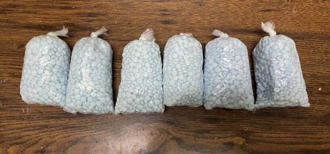 Tulare County Man Convicted in Fentanyl Transportation and Illegal Cannabis Cultivation Case