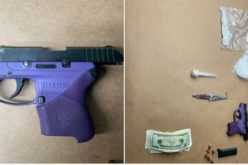 Suspect in Foot Pursuit Arrested After Throwing Stolen Puppy at Deputy