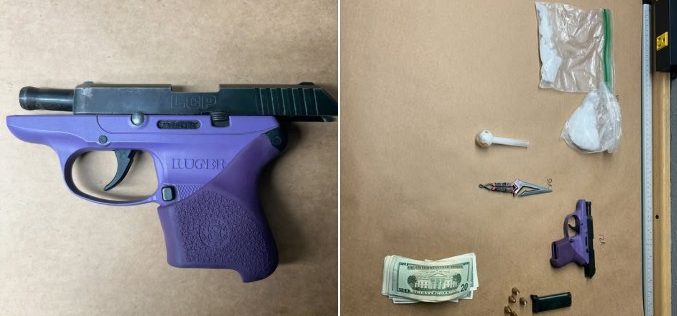 Suspect in Foot Pursuit Arrested After Throwing Stolen Puppy at Deputy