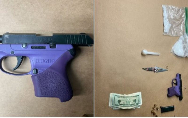 Suspect in Foot Pursuit Arrested After Throwing Stolen Puppy at Deputy