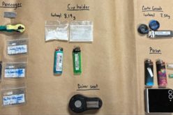 Torrey Pines Park Patrol Leads to Narcotics Arrest and Multiple Sales Charges