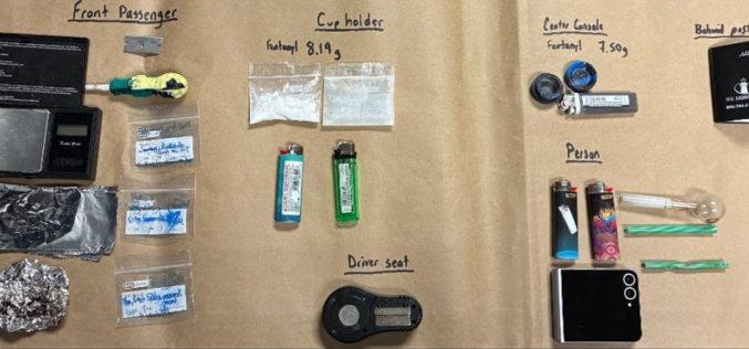 Torrey Pines Park Patrol Leads to Narcotics Arrest and Multiple Sales Charges