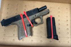 Seventeen-Year-Old Taken Into Custody Following Traffic Stop and Foot Pursuit