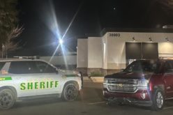 Oregon Woman Arrested in Dunnigan Following Discovery of Stolen Vehicle