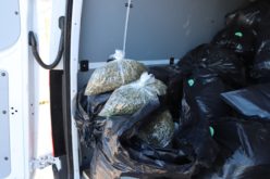 Siskiyou County Man Arrested for Alleged Transportation for Sale of Over 1,300 Pounds of Cannabis