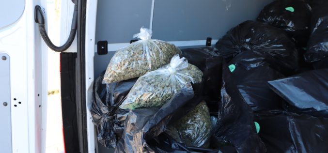 Siskiyou County Man Arrested for Alleged Transportation for Sale of Over 1,300 Pounds of Cannabis