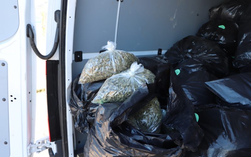 Siskiyou County Man Arrested for Alleged Transportation for Sale of Over 1,300 Pounds of Cannabis