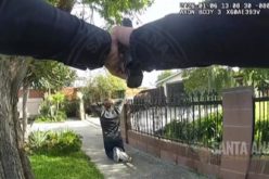 Santa Ana Police Arrest Two on Felony Charges, Gang Enhancements