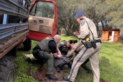 Suspect Detained Following Highway 49 Law Enforcement Search