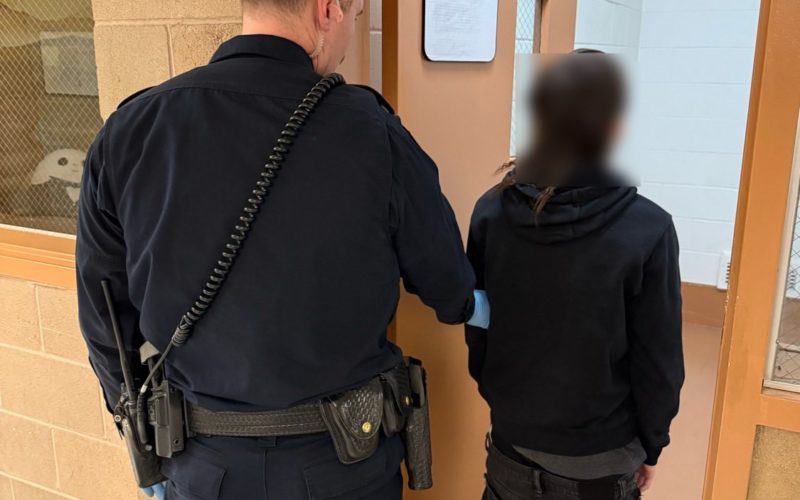 Juvenile Taken into Custody Following Recovery of Unserialized Handgun and Drugs