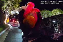 Newport Beach Officers Uncover Concealed Firearm and Illegal Pills During Traffic Stop