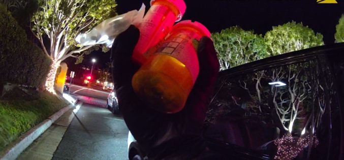 Newport Beach Officers Uncover Concealed Firearm and Illegal Pills During Traffic Stop