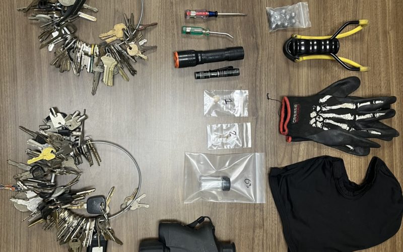 Proactive Enforcement Contact Leads to Drug and Burglary-Related Arrest