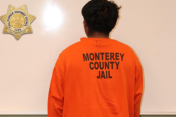 Collaborative Investigation Leads to Attempted Murder and Kidnapping Arrest in Salinas