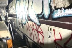 Four Suspects Arrested in Novato: Allegedly Ransacked a Vacant House and Vandalized Vehicles