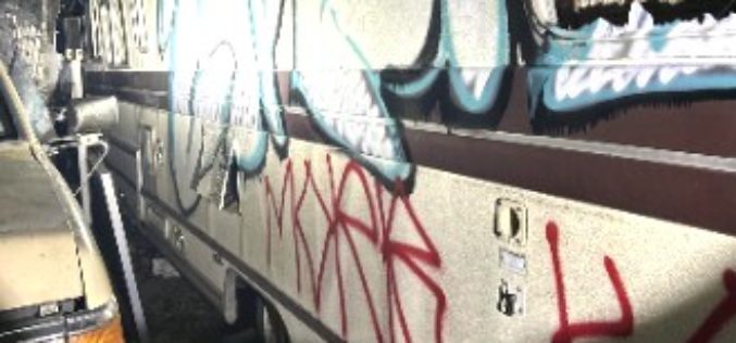 Four Suspects Arrested in Novato: Allegedly Ransacked a Vacant House and Vandalized Vehicles