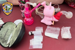 Visalia Police Seize Methamphetamine and Arrest Suspect Following Struggle