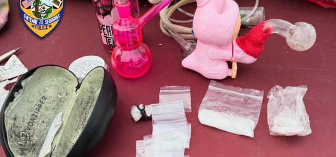 Visalia Police Seize Methamphetamine and Arrest Suspect Following Struggle