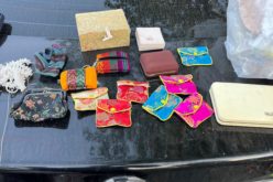 Neighbor Alerted by Security Camera – 2 Burglary Suspects Face Charges