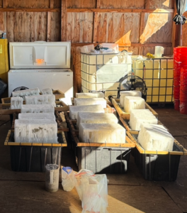 evidence 2 - courtesy of scso