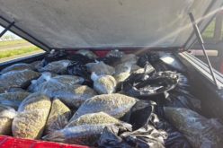 Large Marijuana Bust on I-5: 200 Pounds Seized in Colusa County