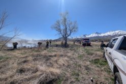 Big Pine Local Arrested for Felony Arson Following Vegetation Fire