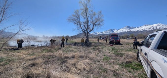 Big Pine Local Arrested for Felony Arson Following Vegetation Fire