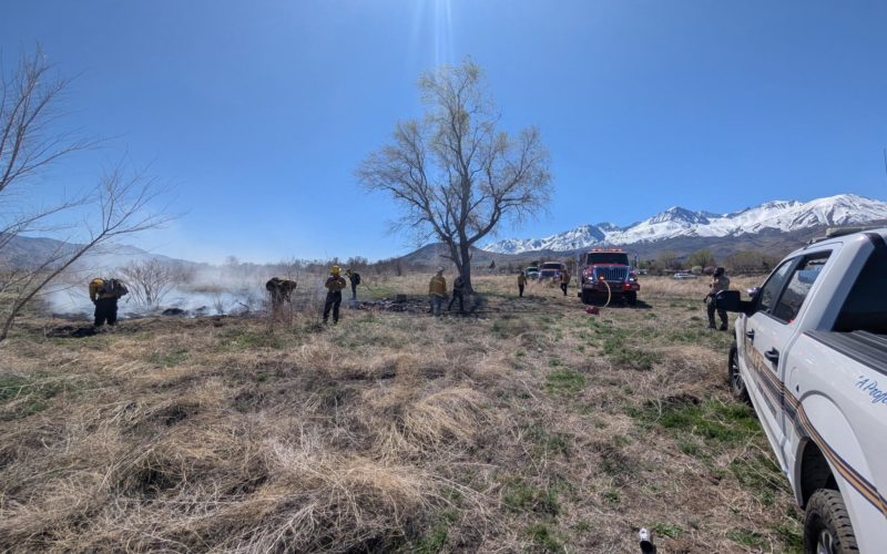 Big Pine Local Arrested for Felony Arson Following Vegetation Fire