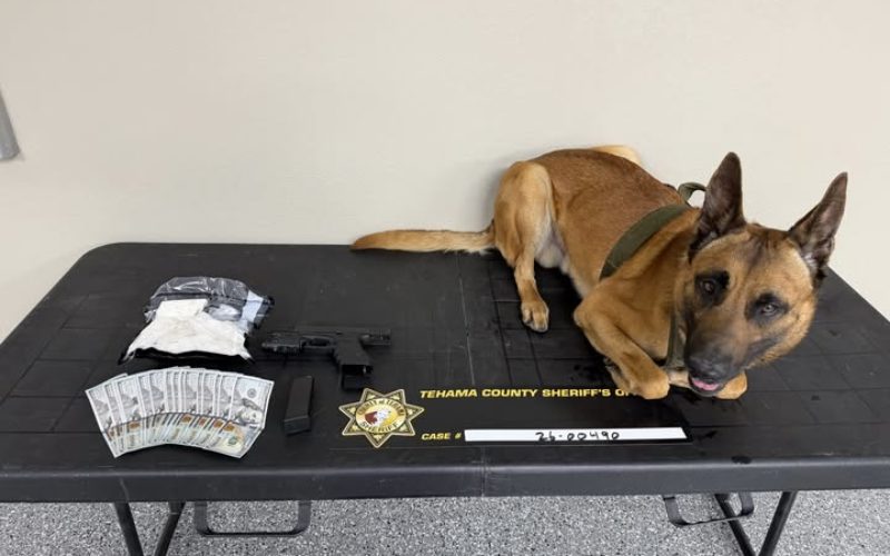 K9 Gibbs Sniffs Out Narcotics and Illegal Firearm During I-5 Traffic Stop Near Cottonwood Scales