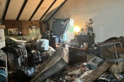 Mariposa County Animal Control: 36 Dogs and One Cat Rescued in Catheys Valley Hoarding Case