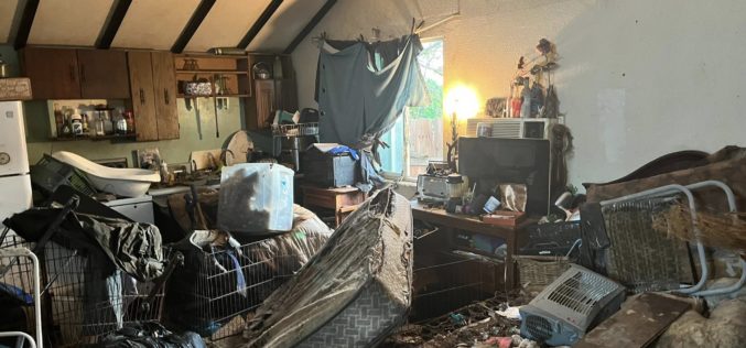 Mariposa County Animal Control: 36 Dogs and One Cat Rescued in Catheys Valley Hoarding Case