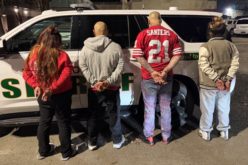 Multiple Arrests and Recovery of Stolen Mail Following Yolo County Investigation