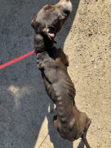 user71628-1773535384-media1