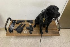 Multiple Firearms Seized During Enforcement Operation at Mooney’s Grove Easter Car Show