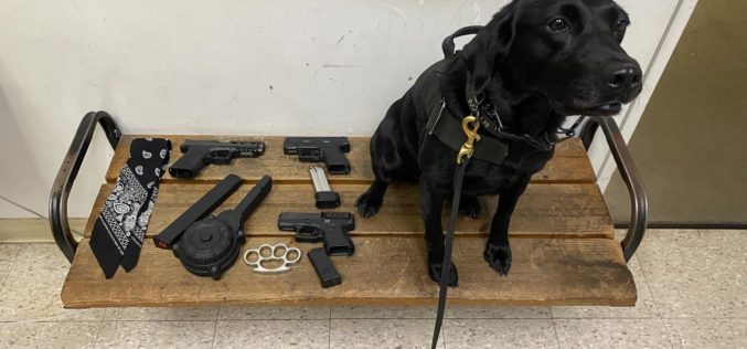 Multiple Firearms Seized During Enforcement Operation at Mooney’s Grove Easter Car Show