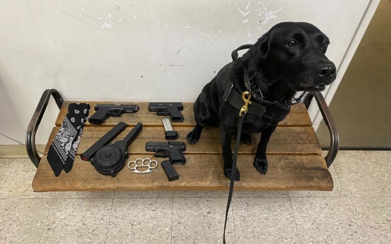 Multiple Firearms Seized During Enforcement Operation at Mooney’s Grove Easter Car Show