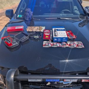 photo courtesy of lincoln pd 