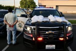 Major Narcotics Bust in Fresno County: Over $2.2M Worth of Methamphetamine, $254K of Fentanyl