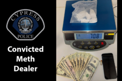 Passenger on Parole Arrested for Narcotics Possession Following Traffic Stop