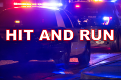 San Francisco Police Arrest Suspect Following Fatal Hit-and-Run on Mission Street
