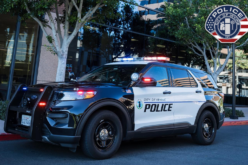 Cypress Woman Arrested for Locker Room Burglaries and Credit Card Fraud