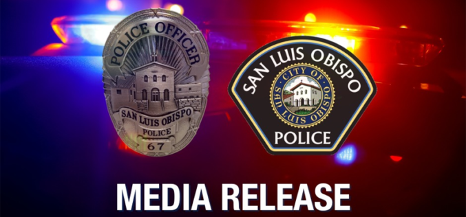 Arizona Man Arrested Following Domestic Dispute and Shelter-in-Place Order