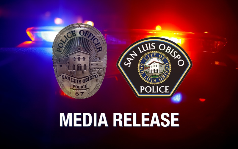 Arizona Man Arrested Following Domestic Dispute and Shelter-in-Place Order