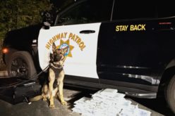 Fentanyl Bust: CHP Seizes 38 Kilograms of Fentanyl During Traffic Stop